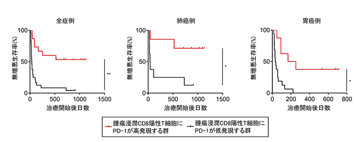 PD-1_2