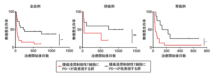 PD-1_4