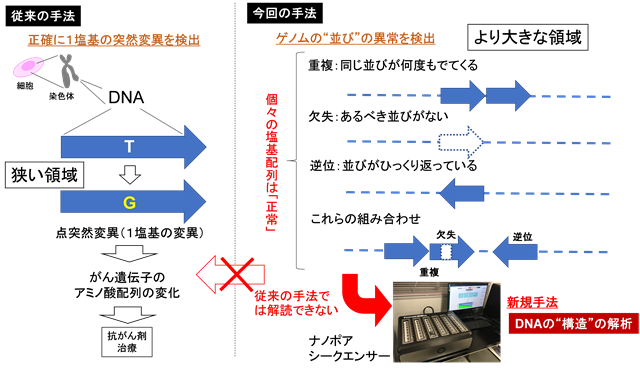 新規ゲノムシークエンス技術を駆使したがんゲノム解析 ～新しい治療法の探索に向けて～
