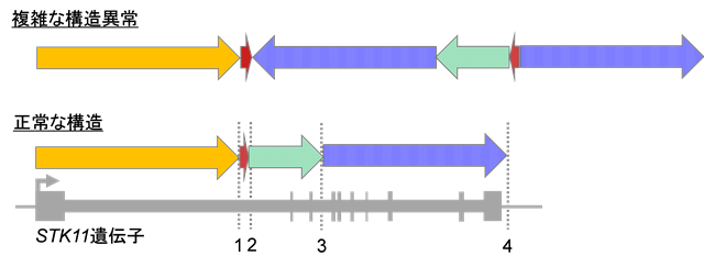 図2