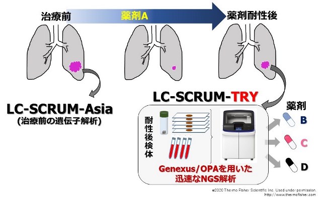 LC-SCRUM-TRY.png