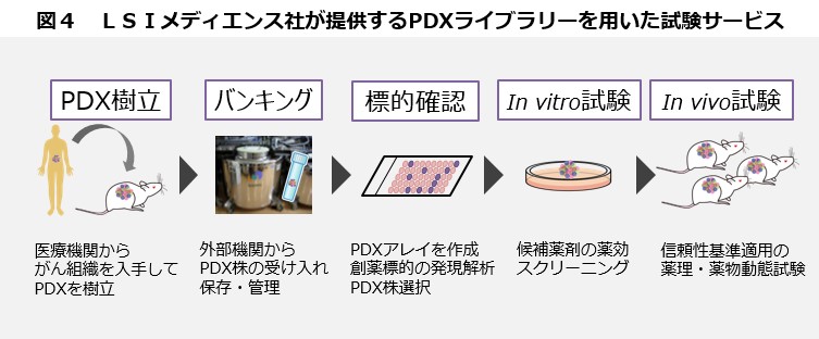 図４_医薬品開発がんゲノム医療への貢献期待