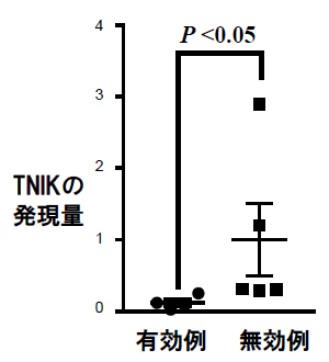 図2. グラフ：化学療法が効かなかった患者では化学療法後に強くTNIKが発現している