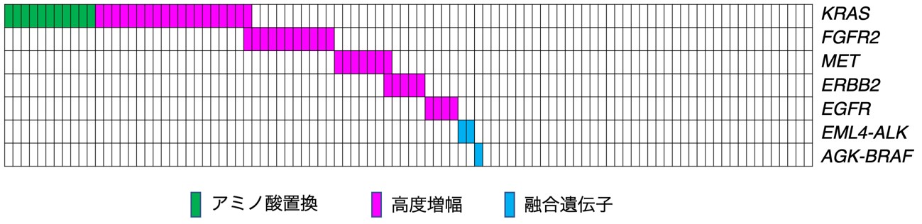 図2 受容体型チロシンキナーゼ-RAS-MAPK経路のがん化変異