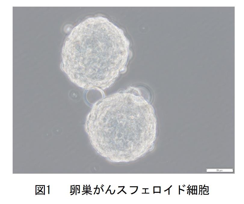 図1