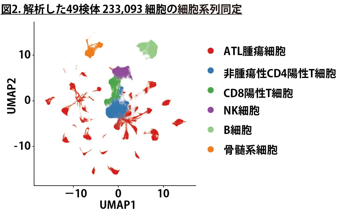 Fig2.jpg