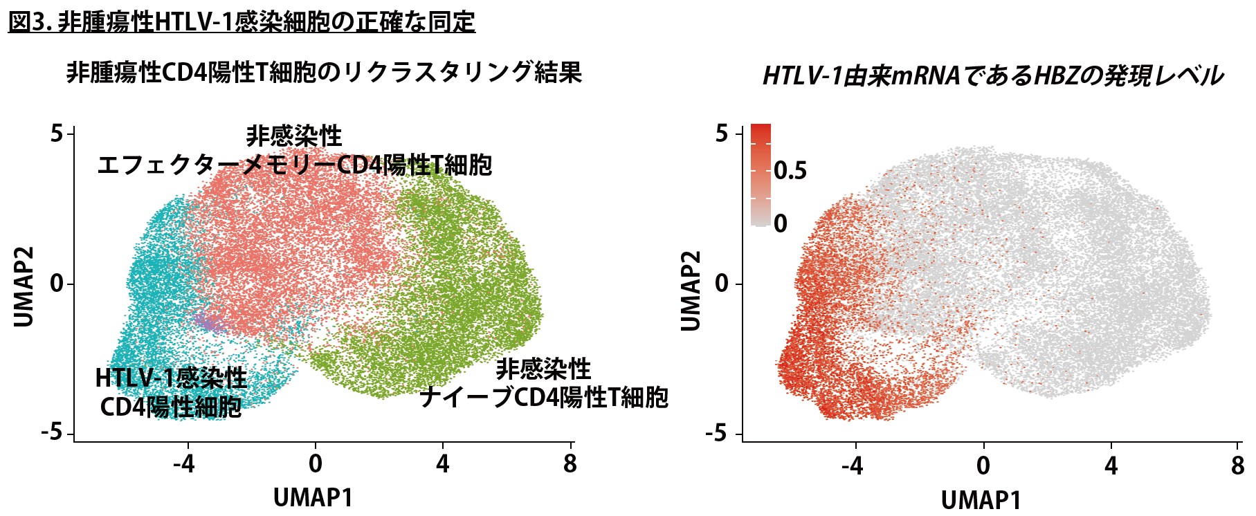 Fig3.jpg