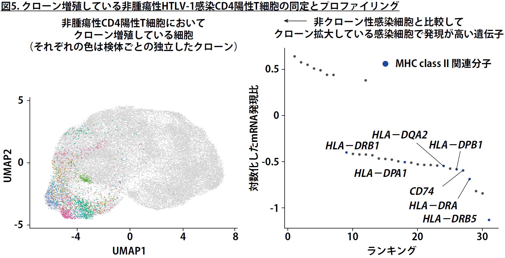 Fig5.jpg