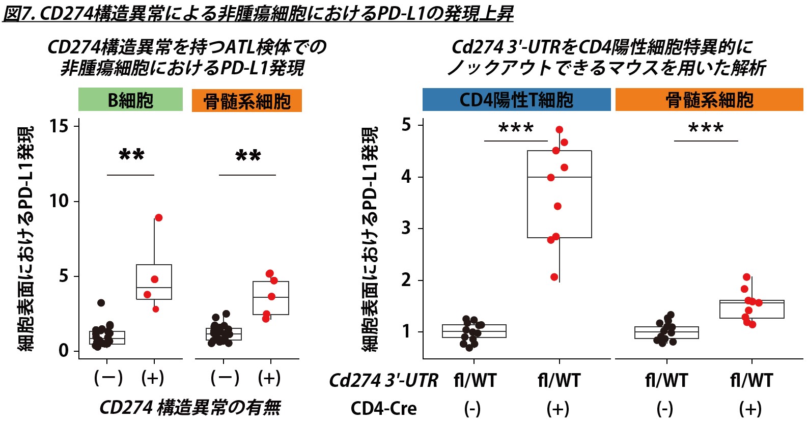 Fig7.jpg