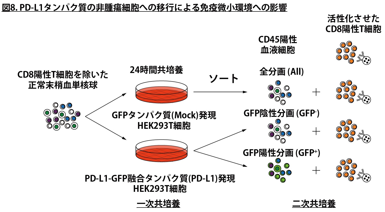 Fig8.jpg