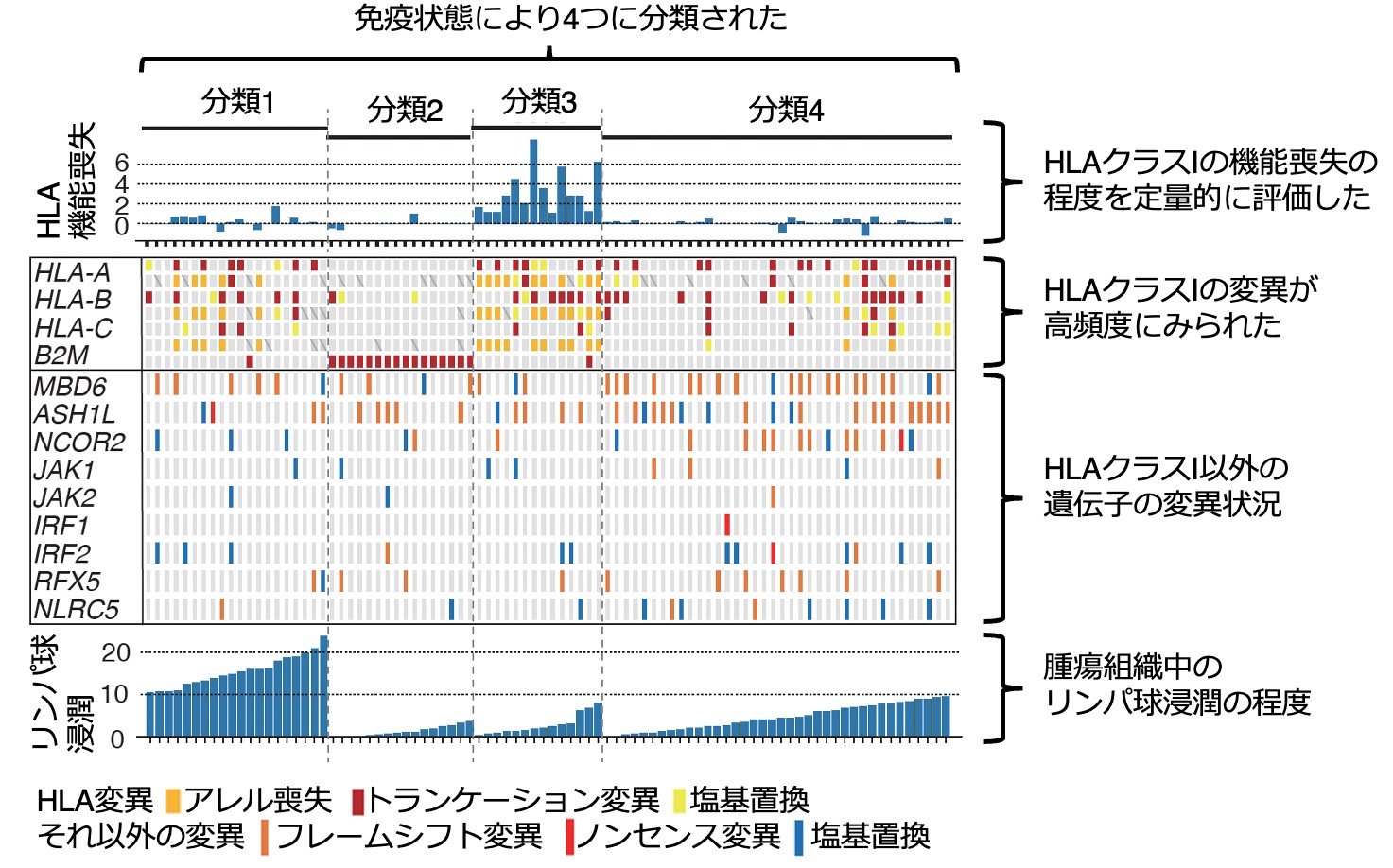 Fig1_20211019.jpg