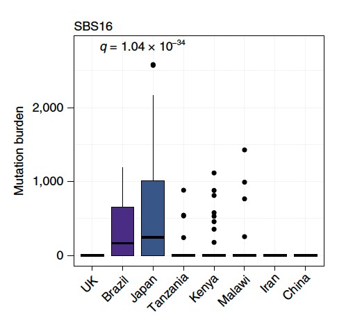 Fig4.jpg