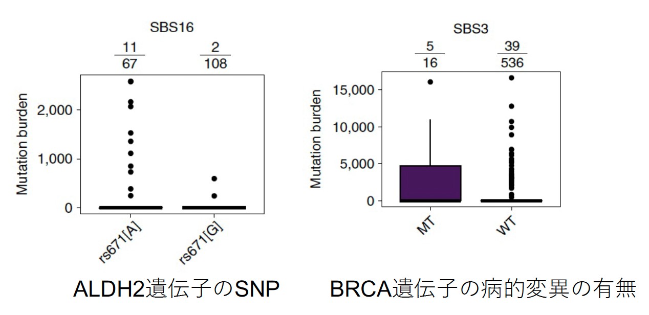 Fig6.jpg