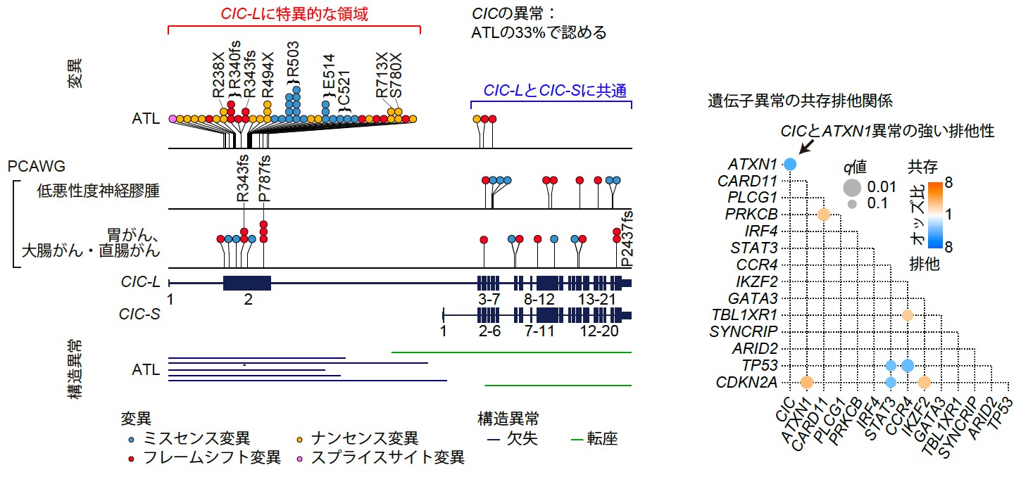 Fig2J.jpg