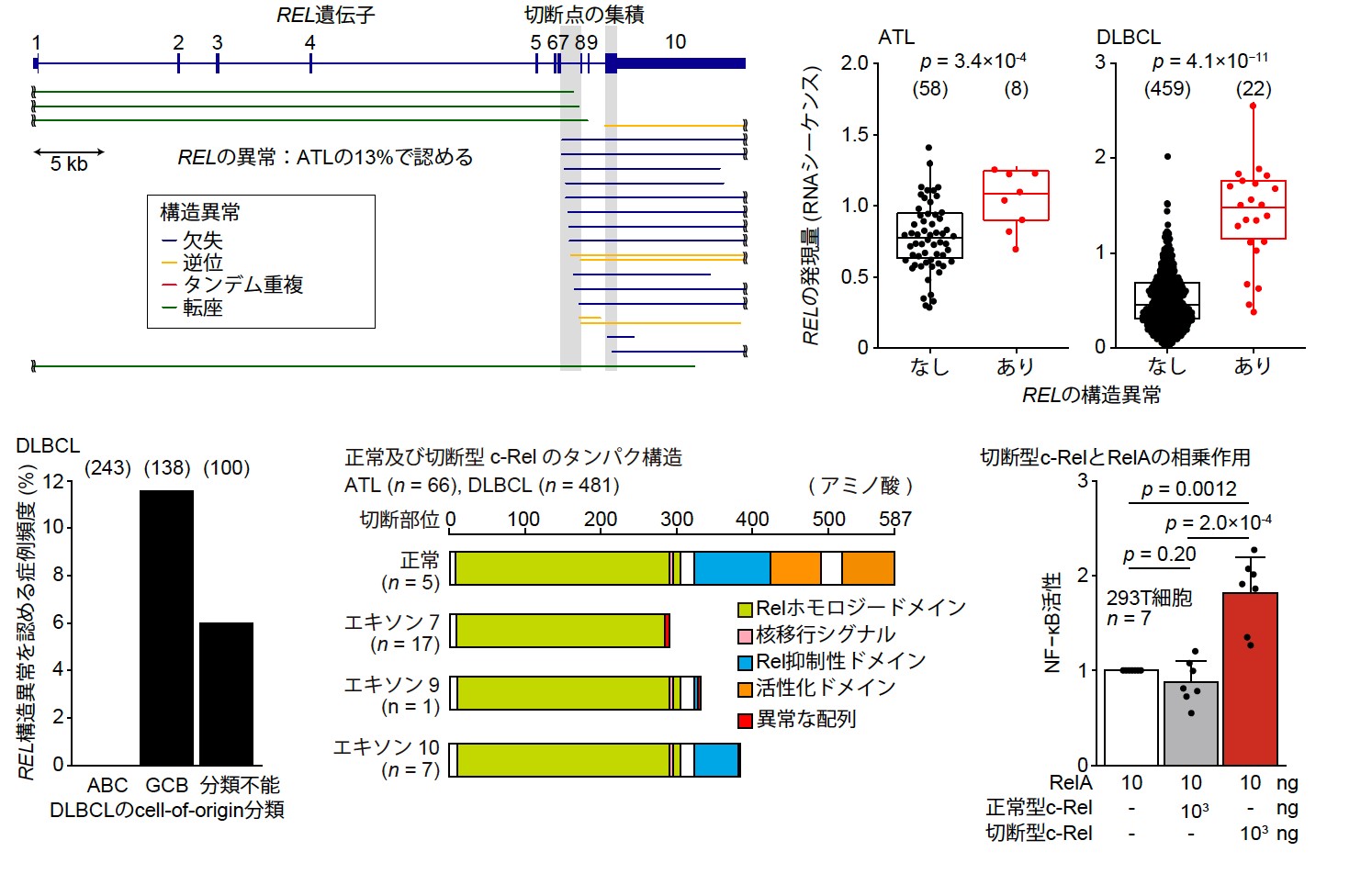 Fig4J.jpg