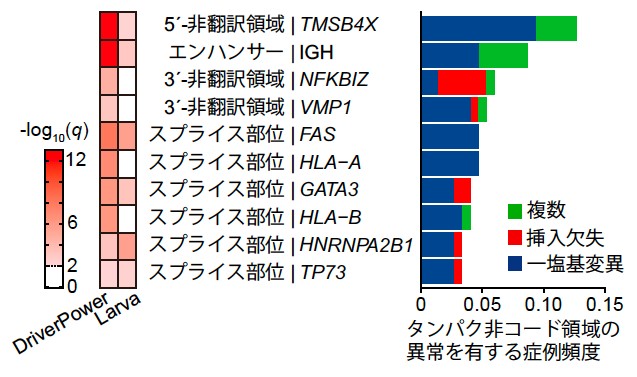 Fig5J.jpg