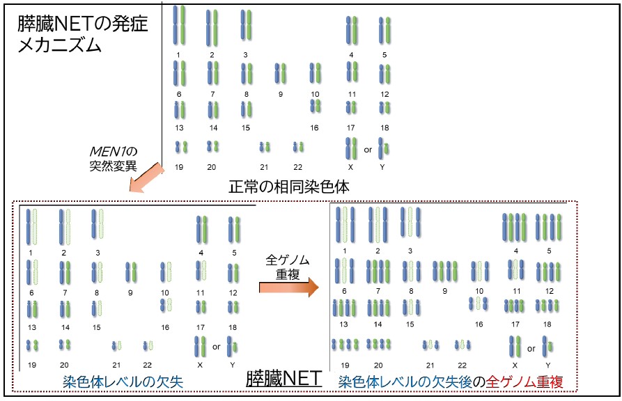 20211209Fig5.jpg