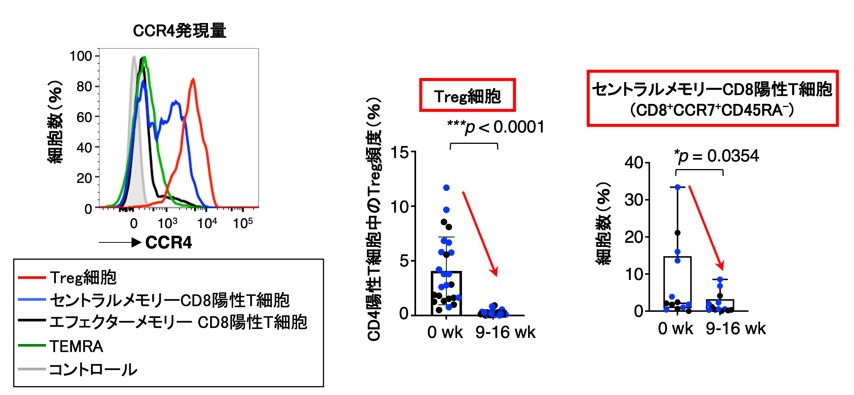 Fig2J.jpg