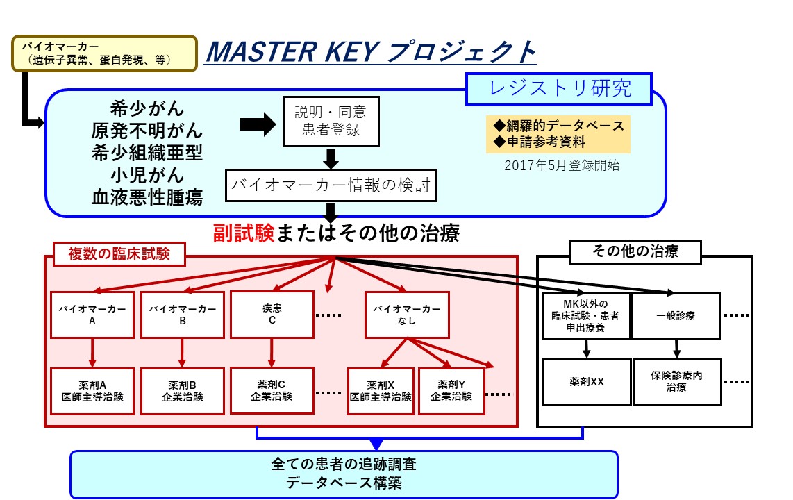 Fig2.jpg