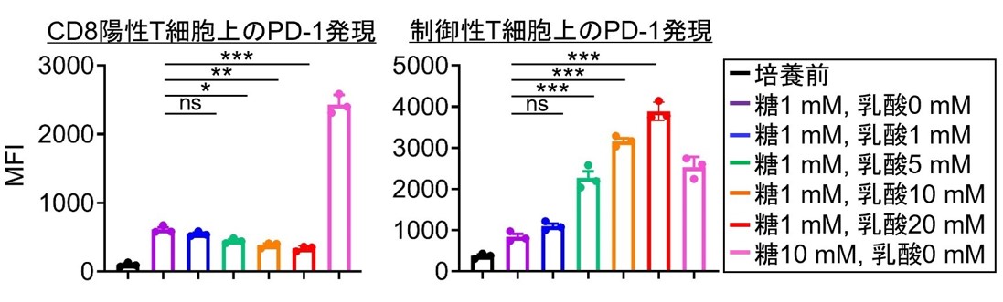 Fig2.jpg