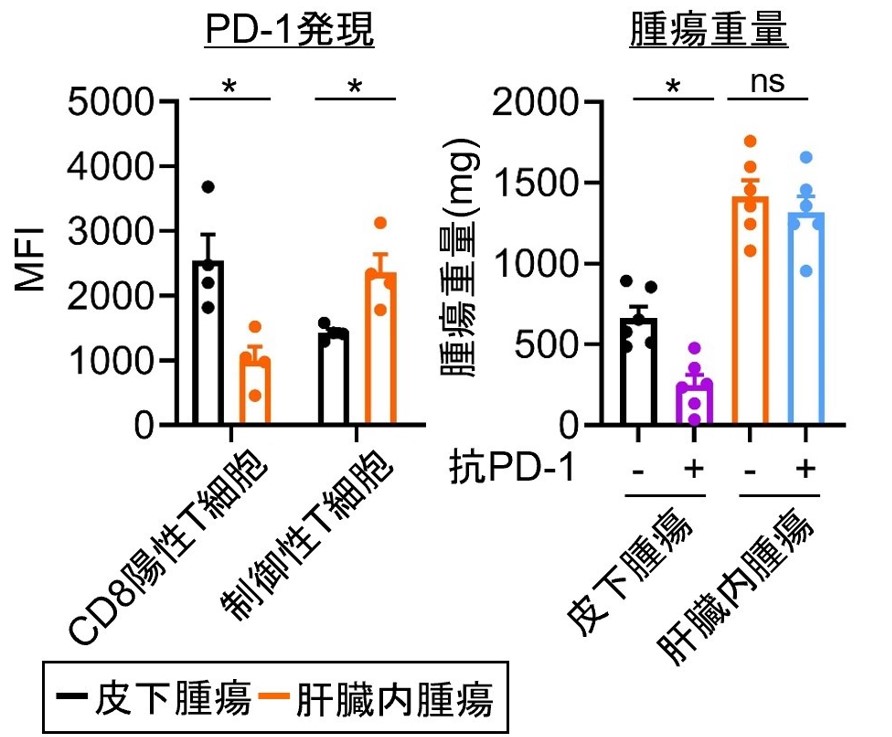 Fig4.jpg