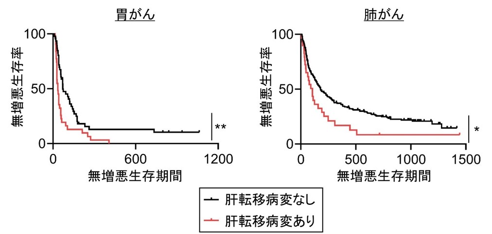 Fig5.jpg