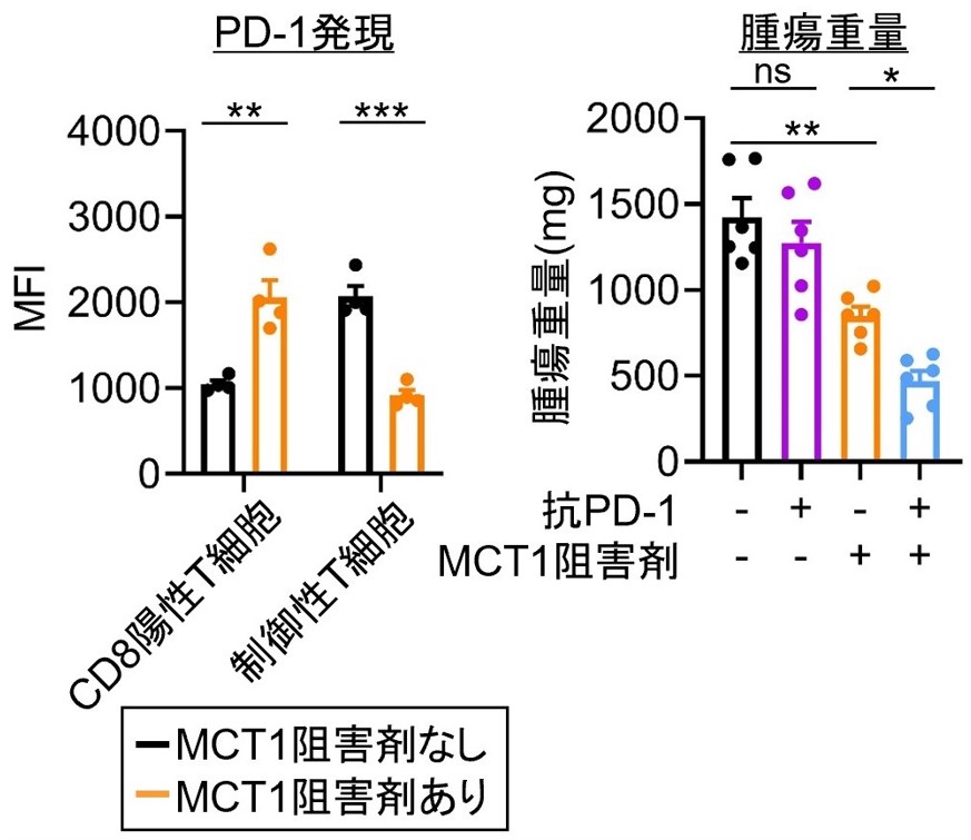 Fig6.jpg