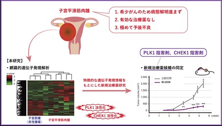 Fig0.jpg