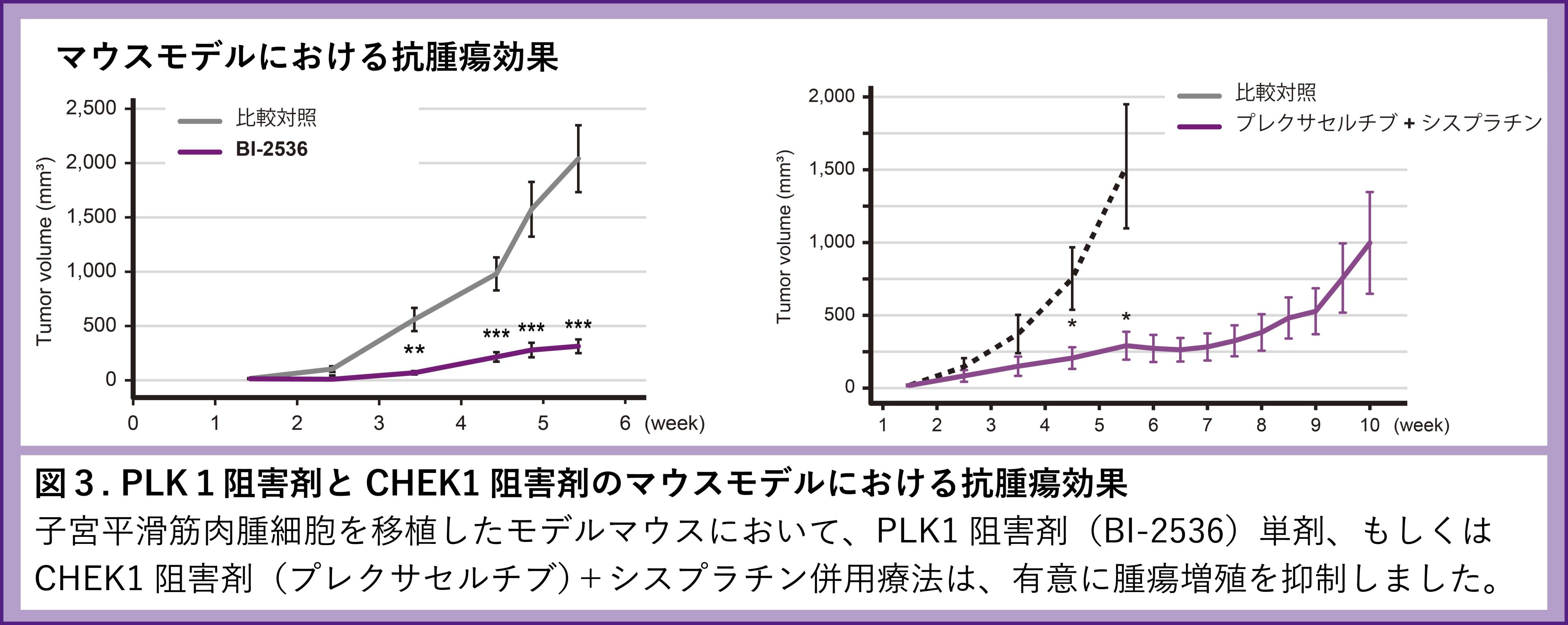 Fig3.jpg