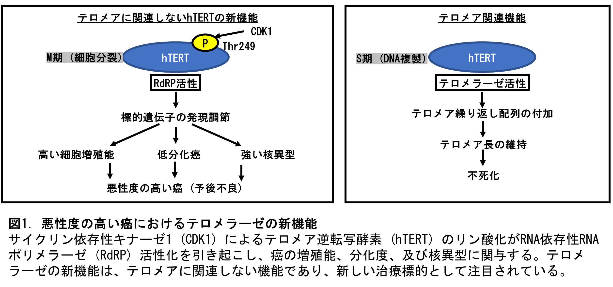 図1