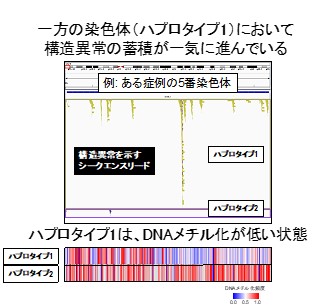 Fig3.jpg