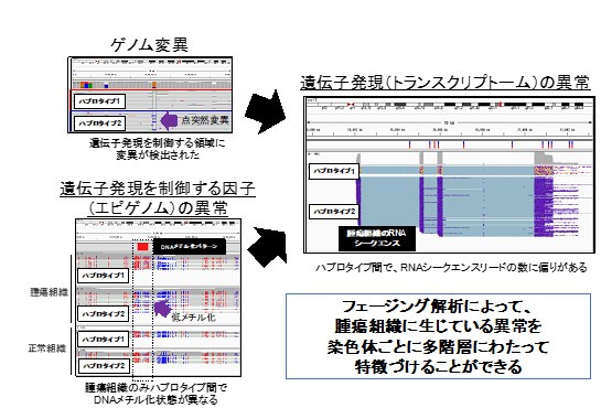 fig2.jpg