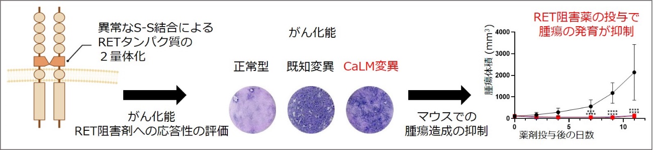 既存薬に対する治療応答性の評価に関する図(図2)