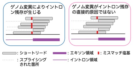 図１