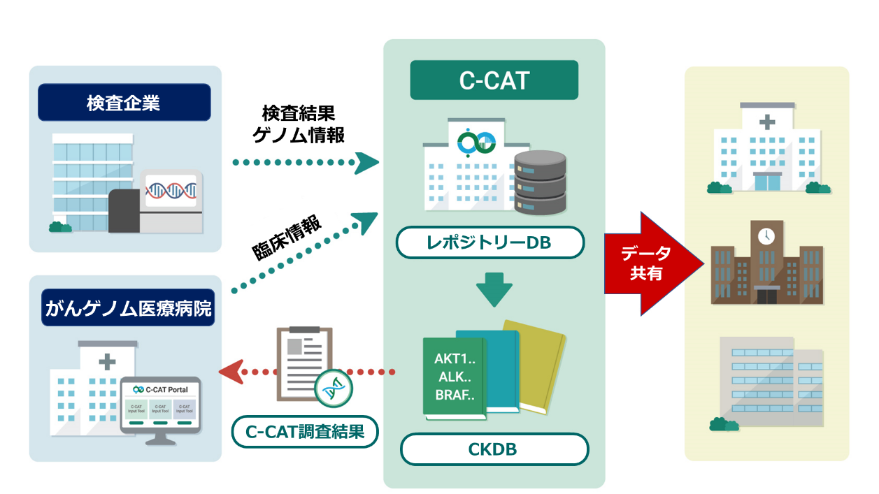 医療機関とC-CATからなるがんゲノム医療ネットワークの画像