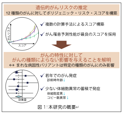 図1.png