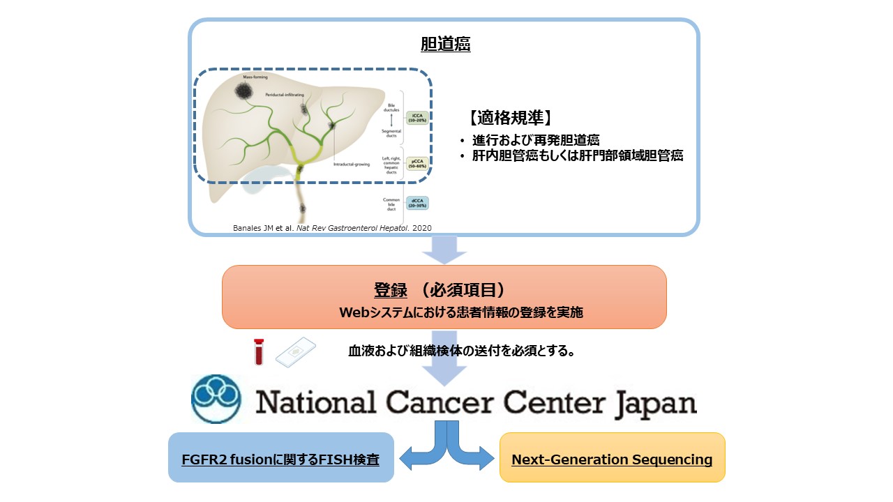 研究方法の図