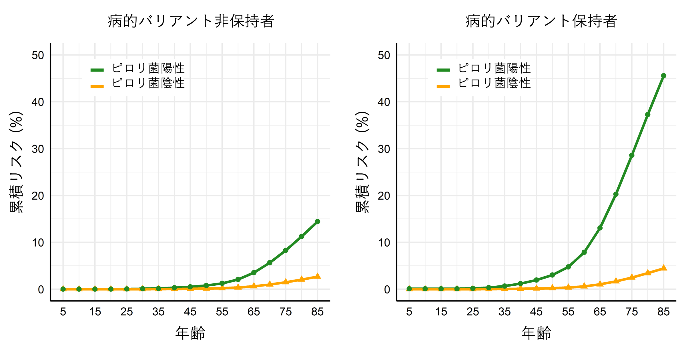 図2の画像