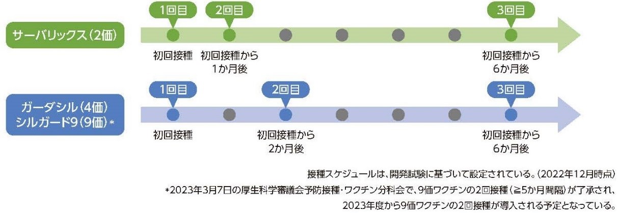 図4　HPVワクチン接種スケジュール