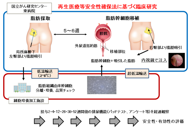 再生医療等安全性確保法に基づく臨床研究