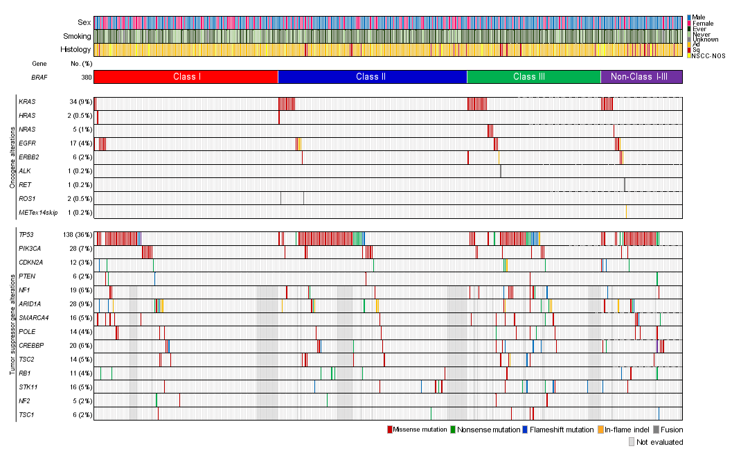 非小細胞肺がんに対して化学療法を受けた人の今後の見通しはどうなりますか?