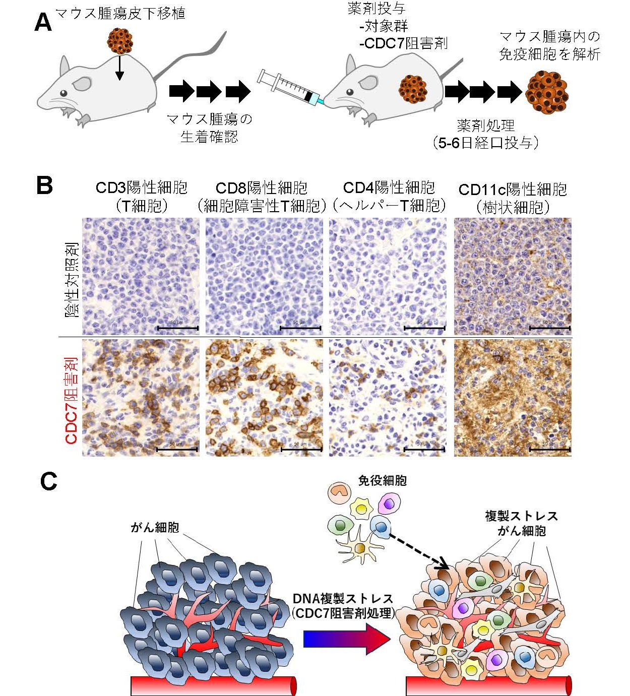 Fig2.jpg