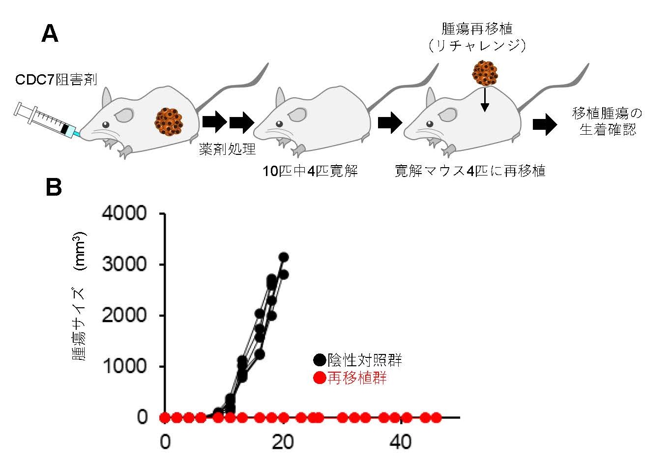 Fig3.jpg