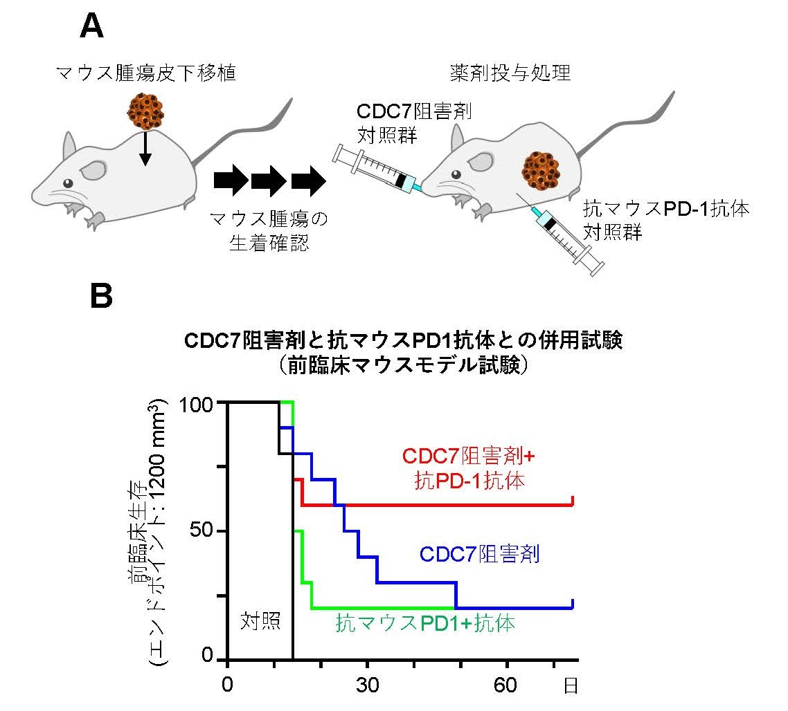 Fig4.jpg