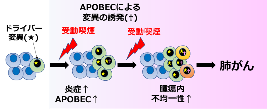 図2