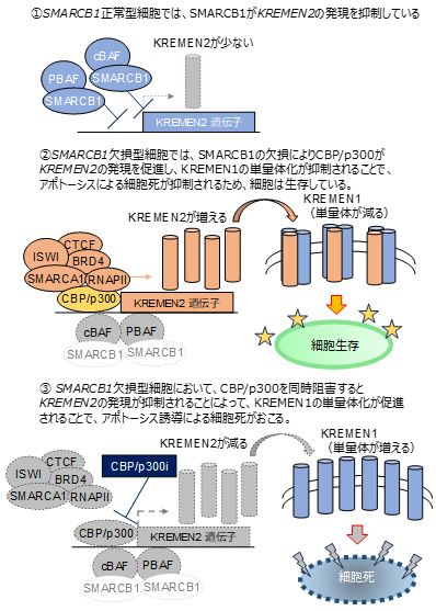 図2