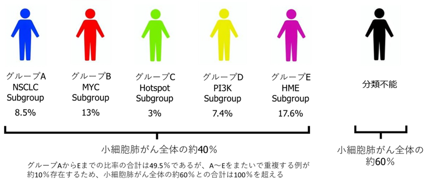 小細胞肺がんを五つのサブグループに分類し、治療効果の予測に成功個別化医療の発展に寄与 ～LC-SCRUM-Asia大規模臨床ゲノムデータベース解析による研究成果～