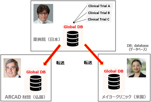 ARCAD-Gastricの共同運営体制およびGlobal DBのフロー