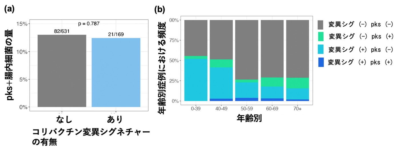 図6 pks+腸内細菌とコリバクチン毒素による変異シグネチャーの関連