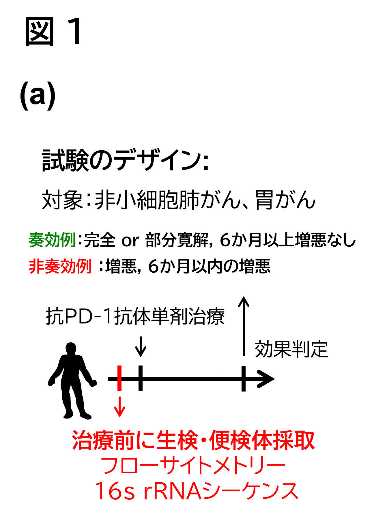 図1(a)
